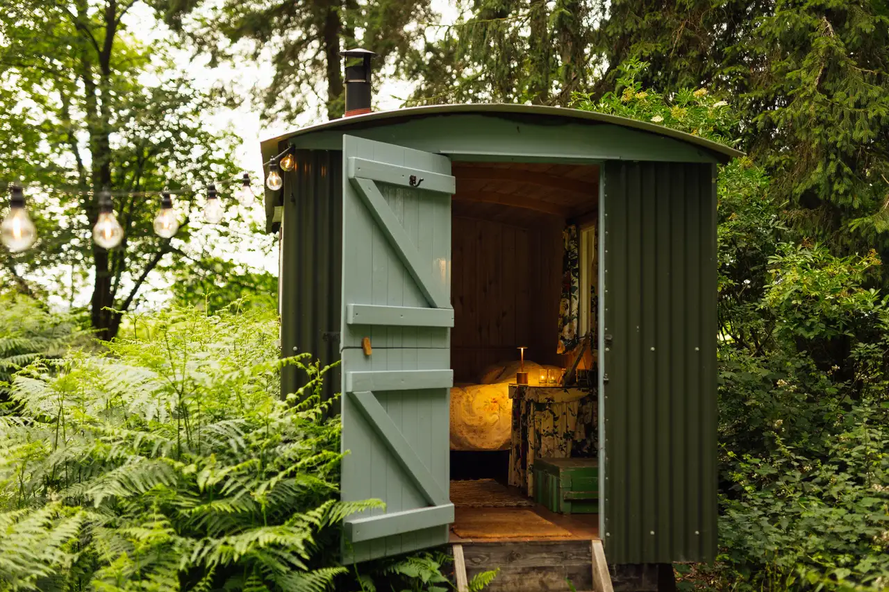 Posey The Shepherd s Hut WildWoodBluebell posey-the-shepherd-s-hut-wildwoodbluebell